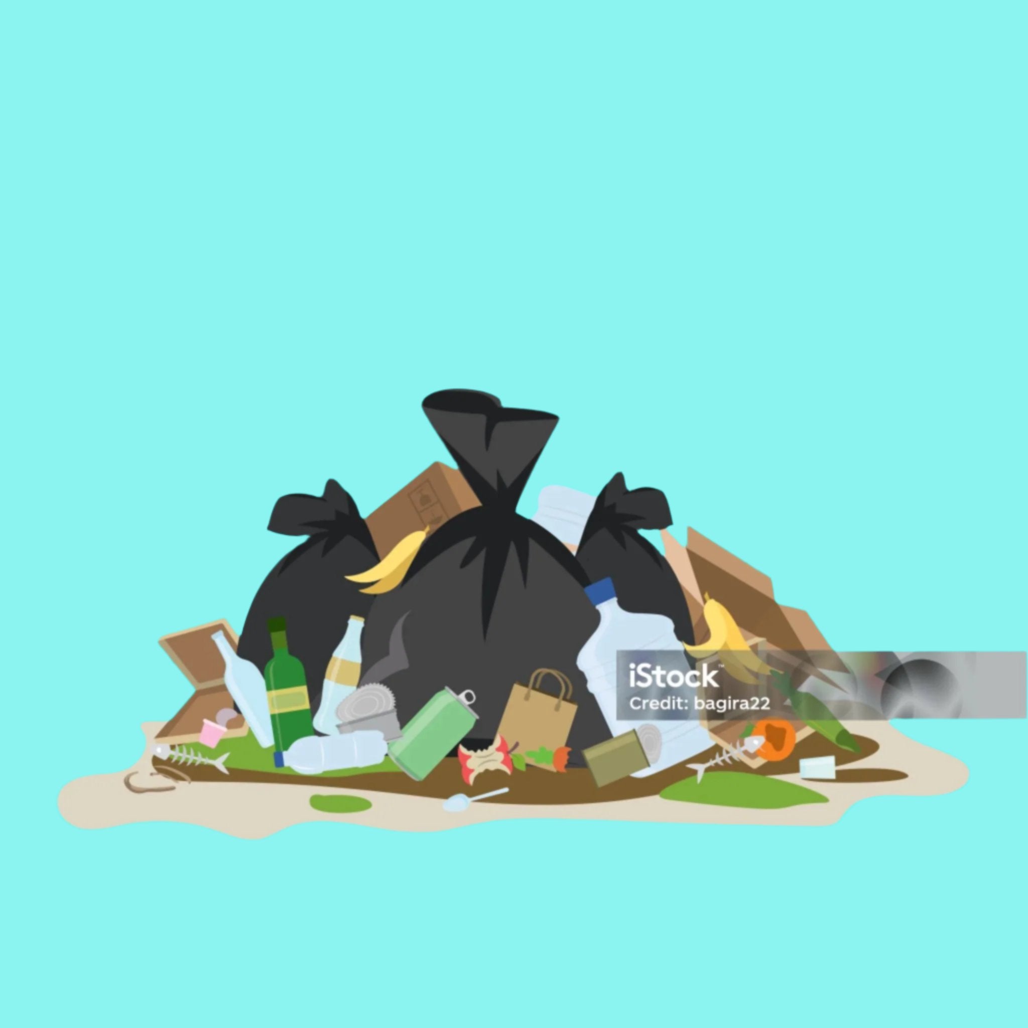 Rubbish Removal